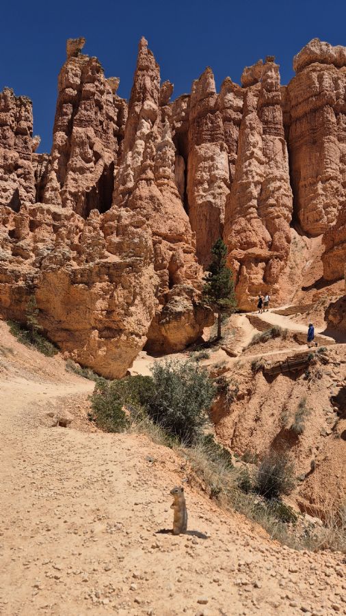לאס ואגס, הפארקים זיון וברייס וסולט לייק סיטי